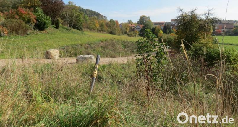 Mit dem Billigungs- und Auslegebeschluss hat das Baugebiet &quot;Am Kalvarienberg&quot; eine weitere Hürde genommen. Für die Zauneidechsen-Population ist ein Ausweichquartier gefunden. Bild: kö
