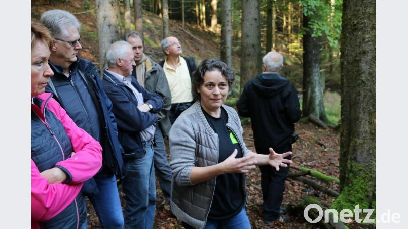 Naturschutz-Referentin Michaela Domeyer (Mitte) informierte über die Wiederansiedelung des Habichtskauzes. Bild: bsc