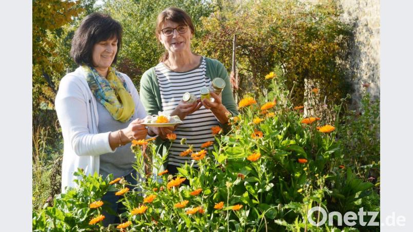 Aus Ringelblumen lassen sich wohltuende Salben und Badekugeln herstellen. Rita Raps (links) und Jutta Bundscherer wissen, wie das geht. Bild: Gabi Schönberger