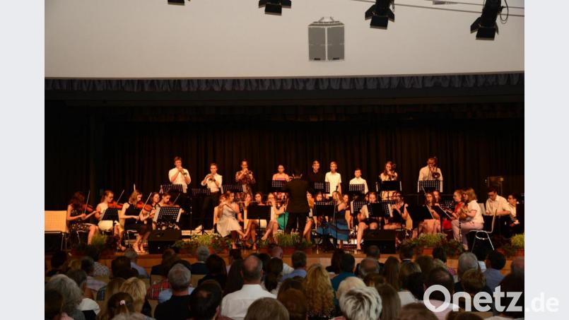 Das Orchester des Gymnasiums Neustadt/WN. Bild: Walter Beyerlein