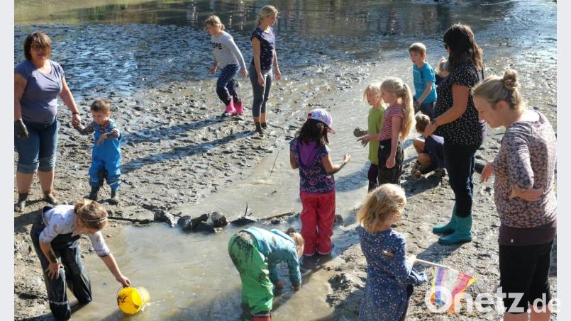 Bei strahlendblauem Himmel finden sich zahlreiche Besucher an den Mühlteichen des Freilandmuseums Neusath/Perschen zum traditionellen Abfischen ein. Ausgerüstet mit Kescher, in Gummistiefeln oder im kompletten Gummianzug sind die „Jungfischer“ unter Mithilfe Erwachsener mit Begeisterung bei der Sache. Bild: ohr