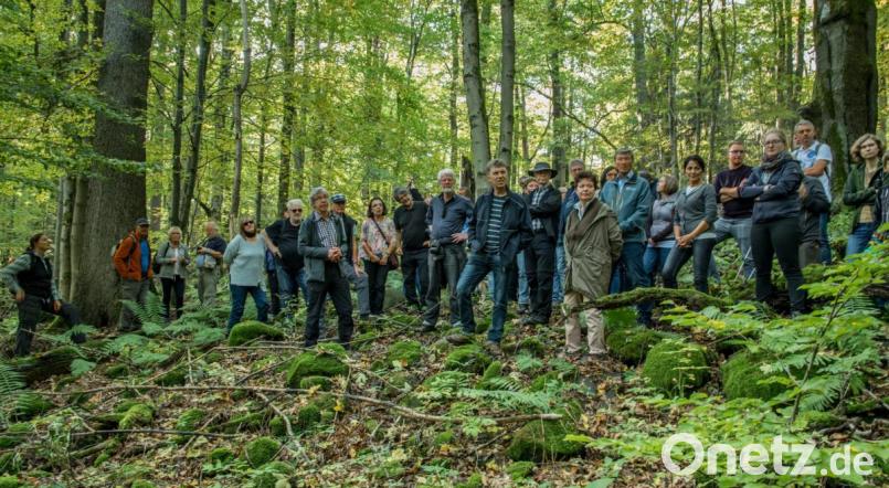 Gut besucht war die Führung des Bund Naturschutz am Teichelberg. Bild: sds