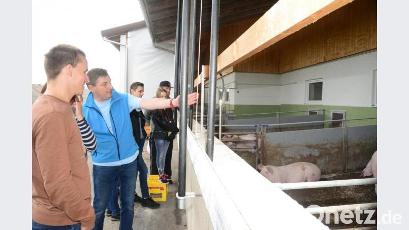 Alfons Wittmann (Zweiter von links) erläutert beim Tag der offenen Tür den Besuchern die Vorzüge seiner Schweinehaltung. Bild: bey