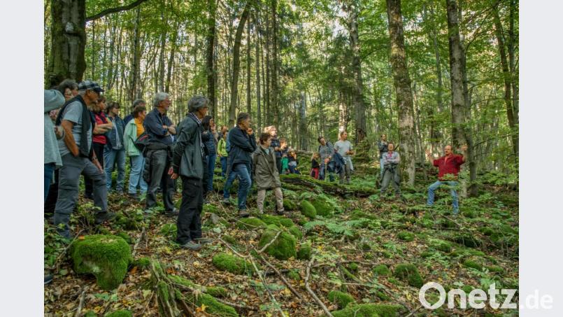 Gut besucht war die Führung des Bund Naturschutz am Teichelberg. Bild: sds
