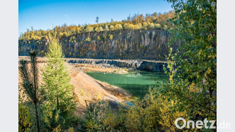 Die Natur hat begonnen, sich das Abbaugebiet zurückzuerobern. Bild: sds