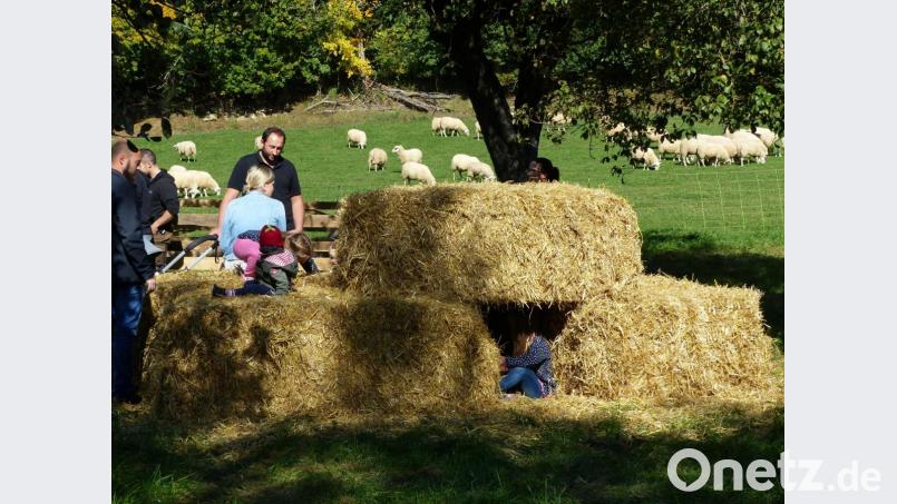 Eine Strohballenburg darf auf keinem Hoffest fehlen. Auch diese kleine feine Ballenburg war ein Anziehungspunkt für die kleinen Hoffestbesucher. Bild: Helmut Sperber