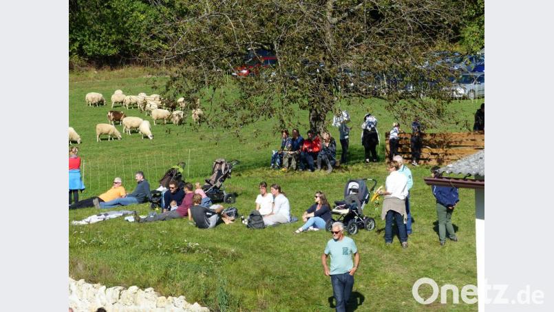 Im Laufe des Tages füllte sich die Streuobstwiese neben der Schafweide mit Menschen, die die Sonne genossen. Bild: Helmut Sperber