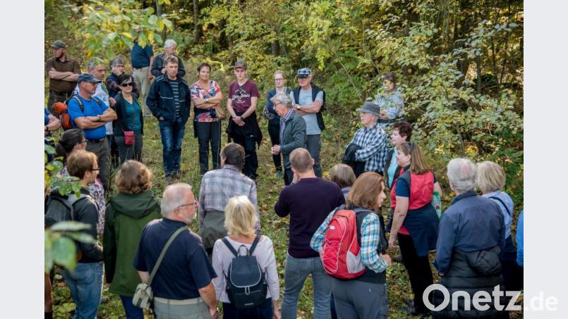 Gut besucht war die Führung des Bund Naturschutz am Teichelberg. Bild: sds