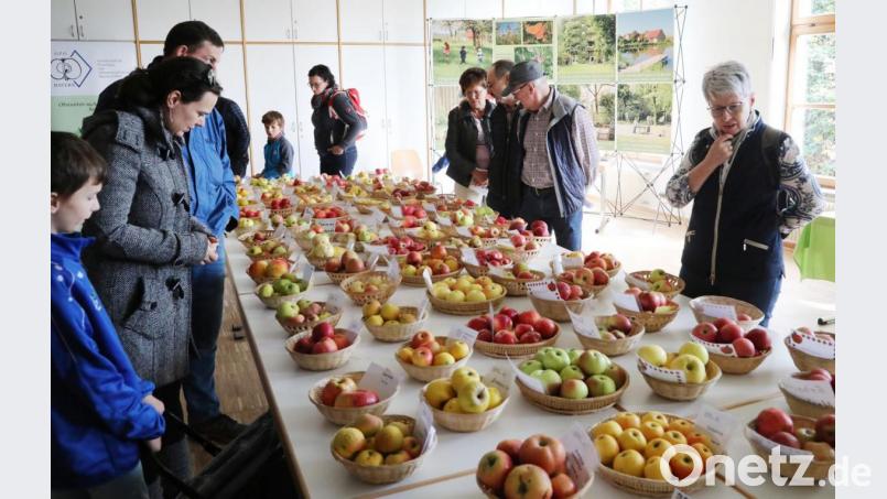 Welcher Apfel ist es denn? Die Obstsortenbestimmung gehörte am Kirwa-Sonntag zum Programm im Oberpfälzer Freilandmuseum in Neusath. Bild: Gerhard Götz
