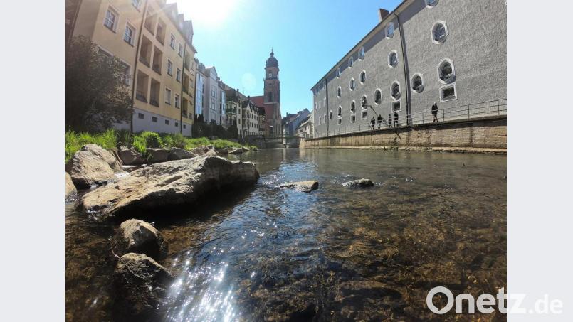 Niedrigwasser an der Vils in Amberg im Hochsommer 2019. Bild: Petra Hartl