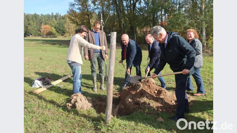 Die Teilnehmer an der Jubiläumsveranstaltung pflanzten Obstbäume. Das Bild zeigt von links die Verbandsvertreter Manuela Pappenberger und Harald Schlöger sowie Alois Dirrigl, die beiden stellvertretenden Landräte Albert Nickl und Joachim Hanisch und die Schwandorfer Kreisfachberaterin Heidi Schmid. Bild: Hirsch