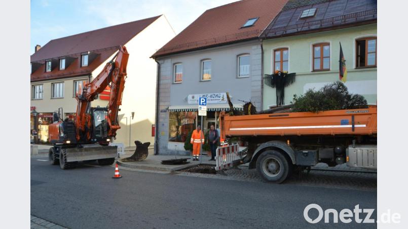 Die kranken Kugelkirschenbäume sind bereits auf dem städtischen LKW und werden entsorgt. Bild: dob