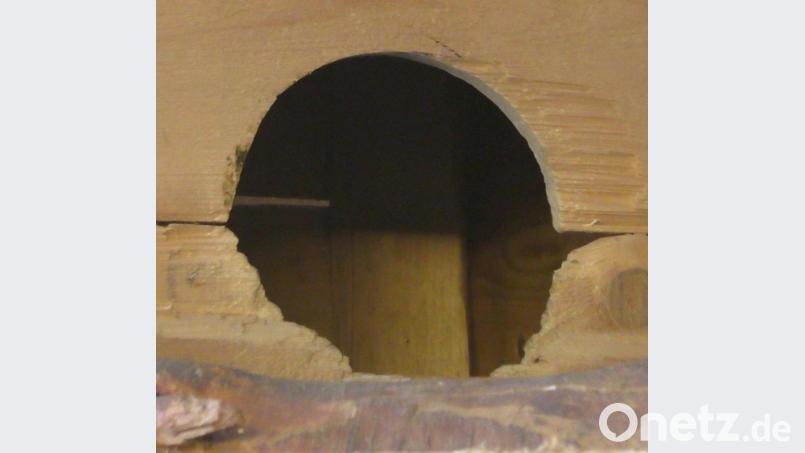 Ist da jemand? Bild: Vogl