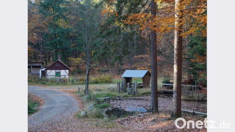 Fotofreund Klaus Stingl hat die Köhlerhütte im Hessenreuther Wald für den neuen Heimatkalender festgehalten. Repro: mor