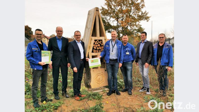 Das kleinste Hotel in Mitterteich ist das Bienenhotel mitten in der Blühwiese der Schott AG. Die Macher des Projekts freuen sich über die Plakette des Umweltministers. Bild: Schott AG