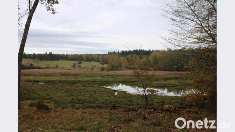 Naturschutz wird im Truppenübungsplatz groß geschrieben und wurde nun von der UN ausgezeichnet. Bild: sne
