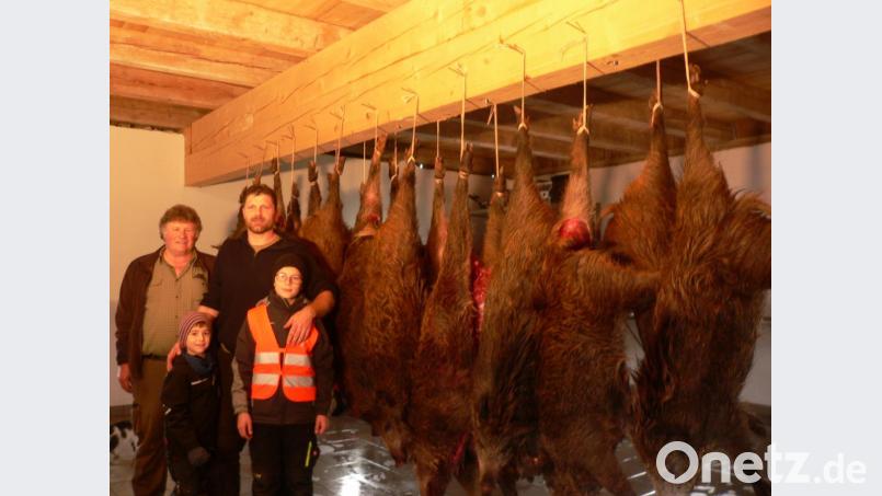 Vor einem Teil der insgesamt 32 erlegten Wildschweine stehen von links die Jagdpächter Franz Lindner und Markus Hirmer. Beeindruckt waren auch die Hirmer-Söhne Elias (links) und Jonas. Bild: mh