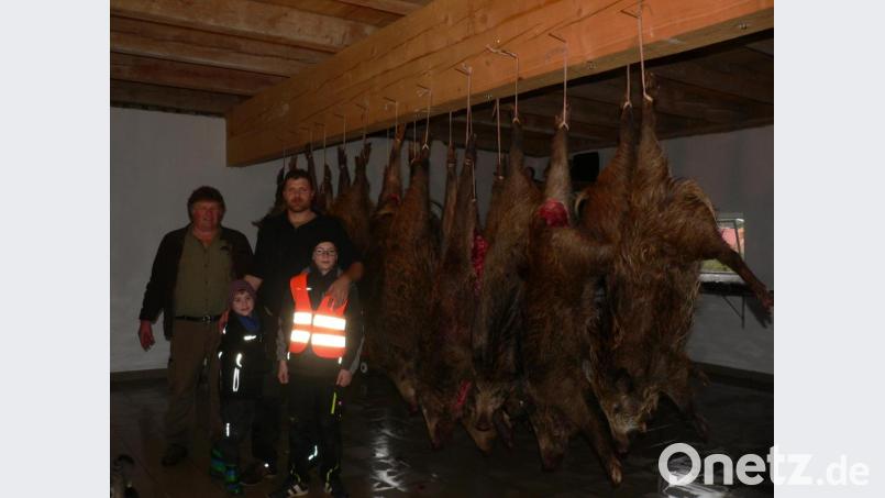 Vor einem Teil der insgesamt 32 erlegten Wildschweine stehen von links die Jagdpächter Franz Lindner und Markus Hirmer. Beeindruckt waren auch die Hirmer-Söhne Elias (links) und Jonas. Bild: mh
