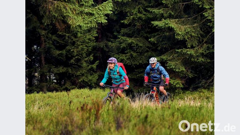 Mit dem Mountainbike Ostbayern genießen: 700 Kilometer lang ist die MTB-Runde Trans-Bayerwald. Bild: Tourismusverband Ostbayern / Woidlife Photography