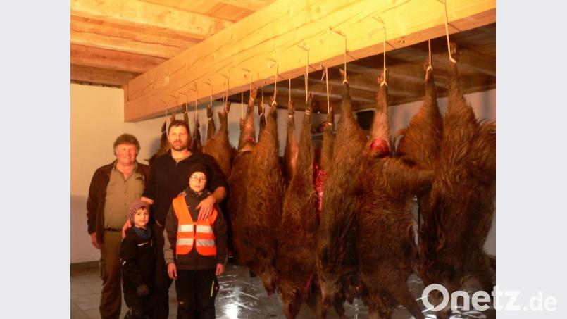 Vor einem Teil der insgesamt 32 erlegten Wildschweine stehen von links die Jagdpächter Franz Lindner und Markus Hirmer. Beeindruckt waren auch die Hirmer-Söhne Elias (links) und Jonas. Bild: mh