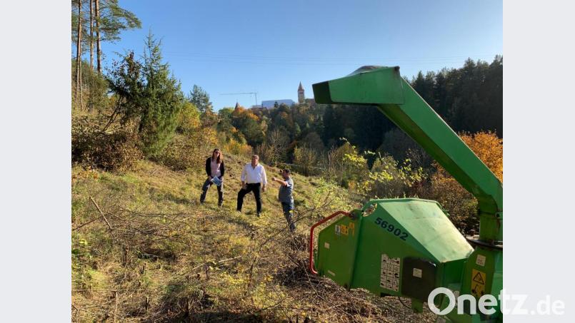 Von links Frau Anita Vieracker, Mitarbeiterin beim Landschaftspflegeverband Amberg-Sulzbach e.V., 1. Bürgermeister Herr Stefan Braun, Herr Richard Lehmeier, Geschäftsführer des Land-schaftspflegeverbands Amberg-Sulzbach e.V. Bild: exb
