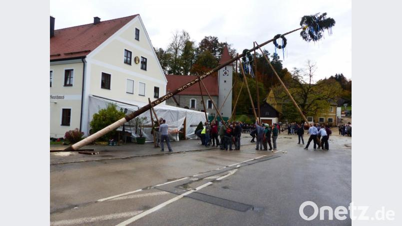 In Pfaffenhofen wird der Kirwabaum nicht mit dem Kran sondern ganz traditionell mit Goißen, Muskelkraft starker Burschen und viel Freibier-Unterstützung aufgestellt. So nach einer guten Stunde war die Sache vollbracht. Bild: jp