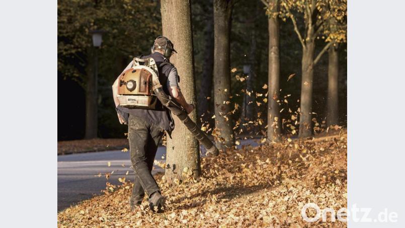 Laubbläser sind laut und dürfen nur zu bestimmten Zeiten eingesetzt werden. Bei den Kommunen in der Region gibt es aber kaum Beschwerden. Bild: Daniel Bockwoldt/dpa