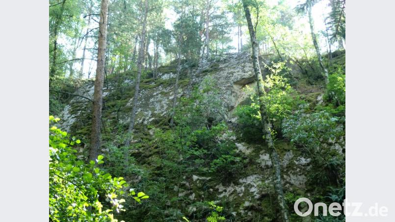 Vor 120 Jahren ist der Fruth-Steinbruch in Betrieb genommen worden. Vor 65 Jahren wurde der Granitabbau eingestellt und die Fläche wieder der Natur überlassen. Bild: sh