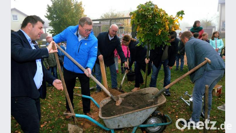 Zur Schaufel beim Baumpflanzen griffen (von links) Daniel Müller, Oberbürgermeister Michael Cerny, der frühere Landtagsabgeordnete Heinz Donhauser sowie Rektorin Marion Ott und Rainer Hahn (verdeckt). Bild: gf