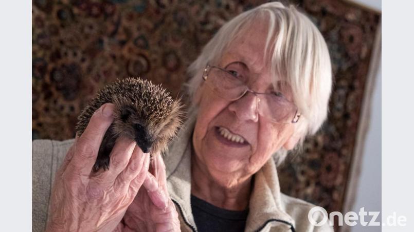 Ingeborg Bauermeister hält einen kleinen Igel. Foto: Daniel Bockwoldt/dpa Bild: Daniel Bockwoldt