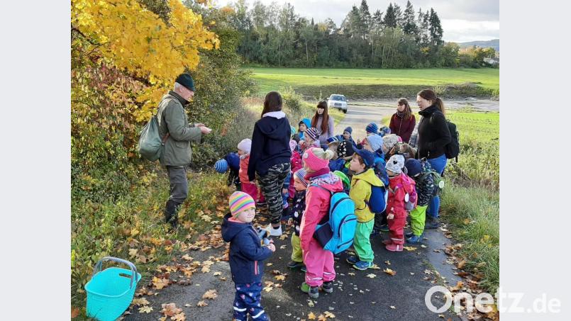 Die Kindergartenkinder lassen sich von Arnold Kimmerl Wissenswertes über den Wald erzählen. Bild: exb