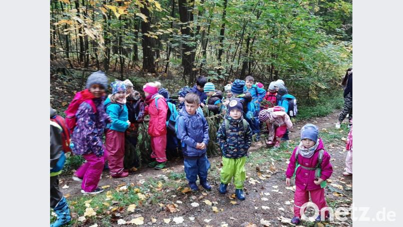 Die Kindergartenkinder lassen sich von Arnold Kimmerl Wissenswertes über den Wald erzählen. Bild: exb