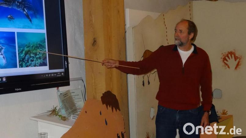 Über die großen Eiszeiten der Erde und ihre Ursachen spricht im Stadtmuseum Diplom-Geologe Eckhard Mönnig vom Naturkunde-Museum in Coburg. Bild: hka