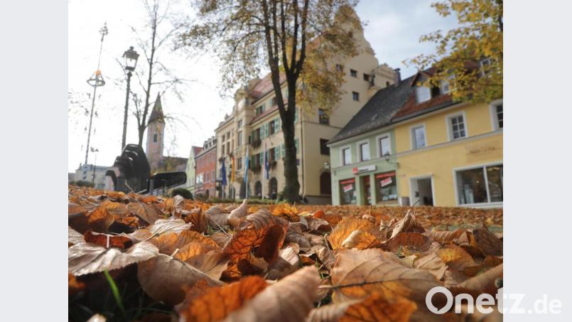 Herbst in Vohenstrauß heißt immer auch viele Blätter. Bild: Wolfgang Steinbacher