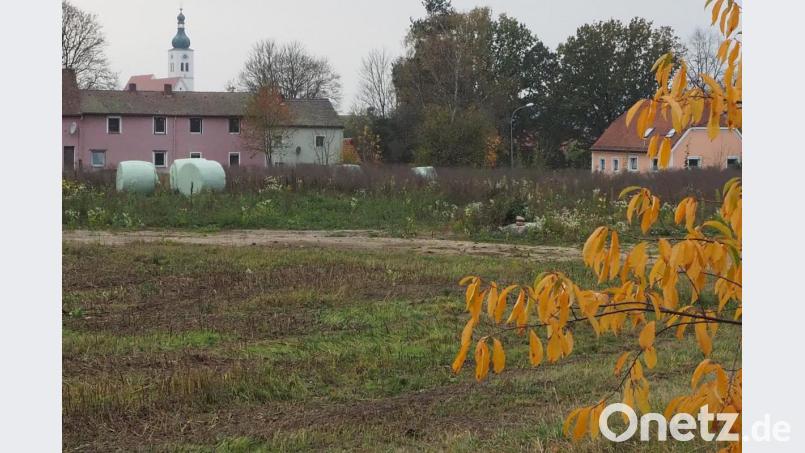 Dieses Brachland soll bald Platz bieten für Einzelhandel und Wohnen. Und beides soll sich weder beim Parken noch bei der Zufahrt in die Quere kommen. Bild: bl
