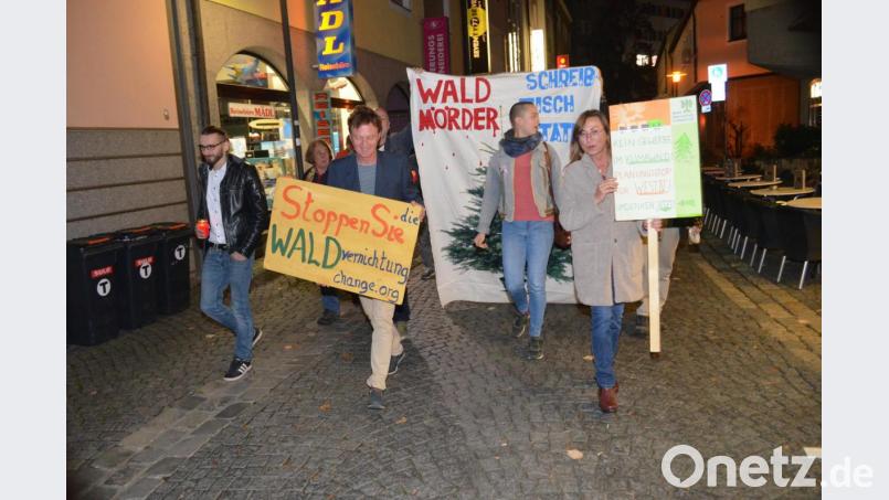 Hopp, Hopp, Hopp - Waldvernichtungsstopp. Mit diesem Slogang wird zum neuen Rathaus marschiert. Bild: fz