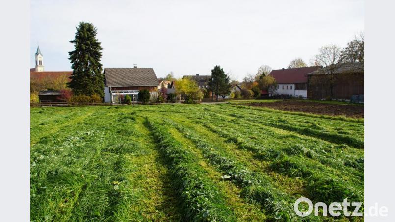 Wegen der abschüssigen landwirtschaftlichen Nutzflächen gibt es bei Starkregen für die Anrainer Probleme mit Wasser und Schlamm. Bild: mmj