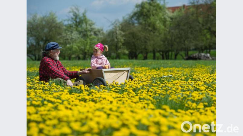 Mehr Zeit miteinander verbringen (Symbolbild): Das war eine Idee, die Teilnehmer des Kurses &quot;Enkeltauglich leben&quot; umgesetzt haben. Symbolbild: Patrick Pleul/dpa