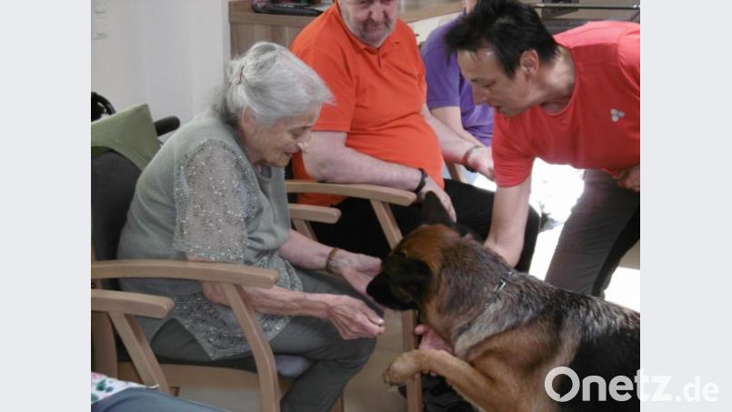 Die sechs Jahre alte Schäferhündin Kamilla von Fiemereck, genannt Milly, besuchte mit ihrer Besitzerin Judith Maier (rechts) die solitäre Tagespflege St. Barbara und gab artig Pfote. Bild: u