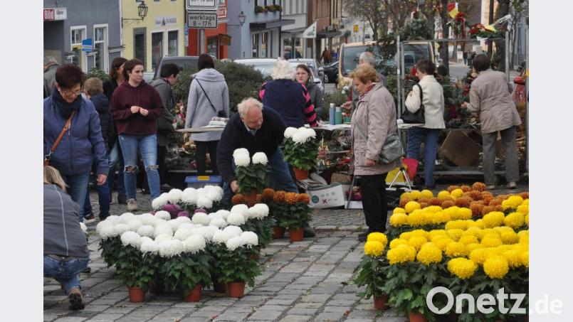 Chrysanthemen in allen Farben sind bei den Gärtnern für das Allerheiligenfest vorrätig, wenngleich weiß und gelb dominieren. Bild: dob
