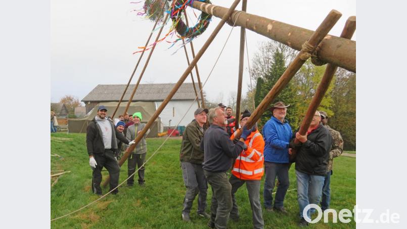Der erste Höhepunkt der Kirwa war das Aufstellen des Kirwabaums. Mit Hilfe vieler Freiwilliger und nur mit Muskelkraft wurde der schwere Baum empor gewuchtet. Bild: ow