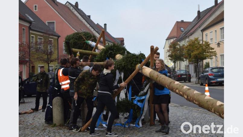 Mit Muskelkraft wird der Baum in die Senkrechte befördert. Bild: mh