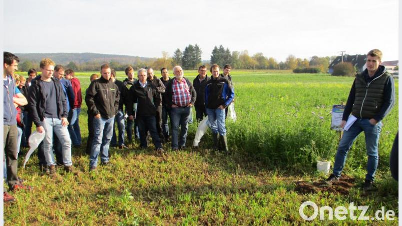 Philipp Koch (rechts) vom AELF Weiden stellt Zwischenfrüchte im Feld beim Bodenschutztag in Almesbach vor. Bild: Dobmeier