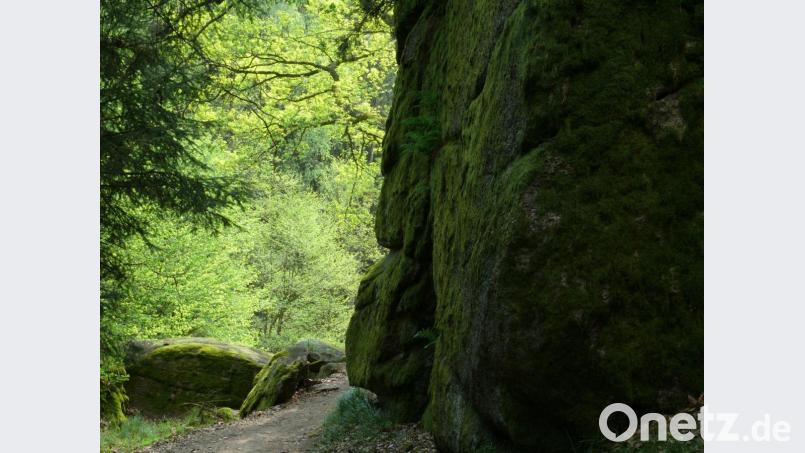Ein Spaziergang in der Natur kann bei der Trauerbewältigung helfen. Bild: tr