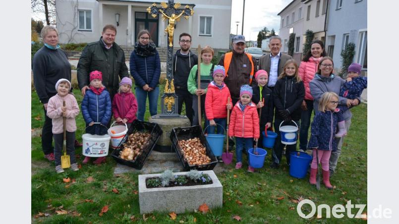 400 Blumenzwiebel hat Stadtgärtner Willi Kilian (hinten, Dritter von rechts) mit der Kinder- und Jugendgruppe des Obst- und Gartenbauvereins Mitterteich beim ehemaligen Bürogebäude der einstigen Porzellan AG gepflanzt. Darüber freuten sich auch Bürgermeister Roland Grillmeier (hinten, Zweiter von rechts) sowie (hinten, von links) OGV-Vorsitzende Marion Puchta und Zweiter Bürgermeister Stefan Grillmeier. Bild: jr