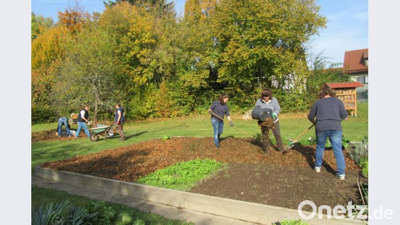 Eine dicke Laubschicht oder eine Gründüngung schützt die offene Erde vor Erosion und Verschlämmung und belebt das Bodenleben. Bild: Landwirtschaftsschule Tirschenreuth/exb