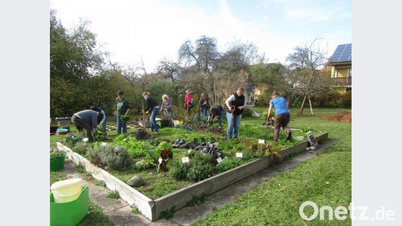 Im Schulgarten der Hauswirtschaftsschule wurde von den Studierenden eine große Gemüseernte zur Weiterverarbeitung eingebracht und eingelagert. Bild: Landwirtschaftsschule Tirschenreuth/exb