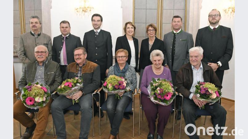 Die von Landrat Andreas Meier (stehend, Erster von rechts) ausgezeichneten Träger des Ehrenzeichens (sitzend, von links): Reinhard Sertl, Klaus Nigg, Christine Sauer, Monika Wittmann und Anton Pöpperl. Bild: Petra Hartl