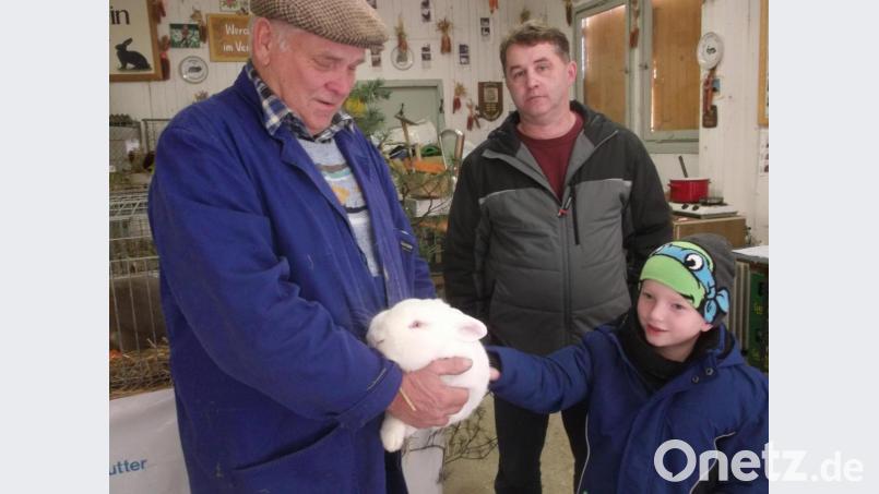 Streicheleinheiten für den weißen Hasen, Der Vorsitzende des Kleintierzuchtvereins und langjährige Züchter Adolf Grasser (links) zeigt den Kindern den richtigen Umgang mit Meister Lampe. Bild: trj