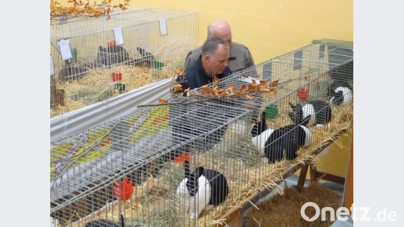 Für Fachleute gibt es genauso viel zu sehen wie für Besucher, die sich nur an der Vielfalt der Tiere erfreuen. Bild: wrt